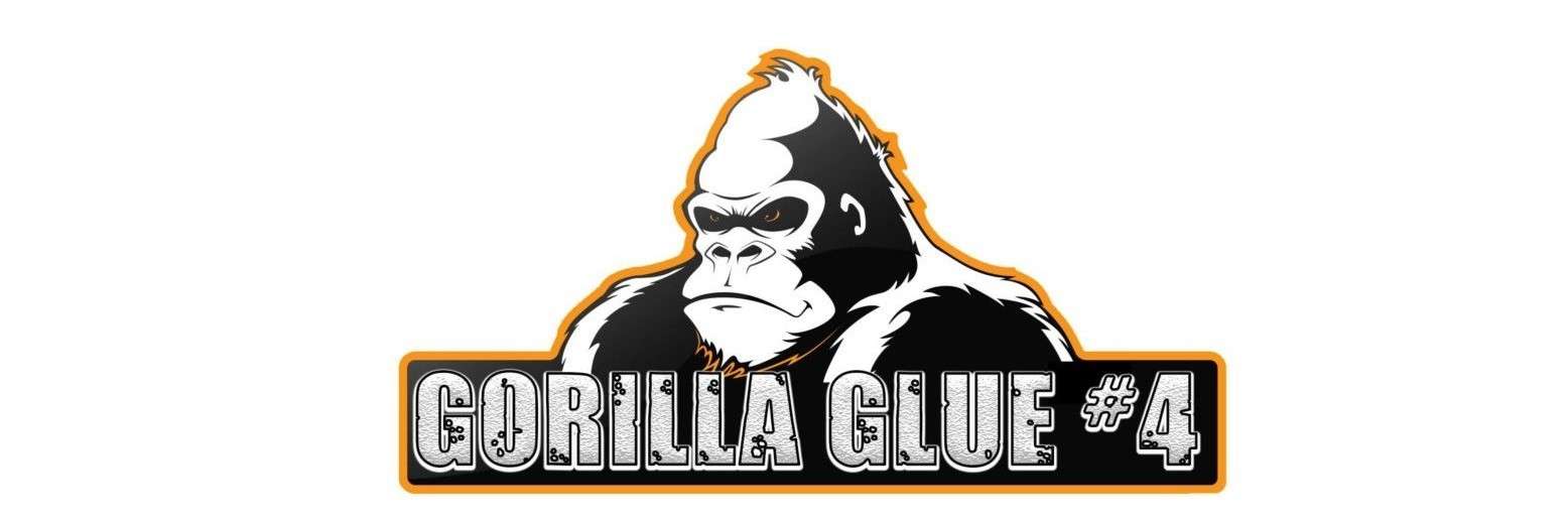 King Kong wśród odmian – Gorilla Glue