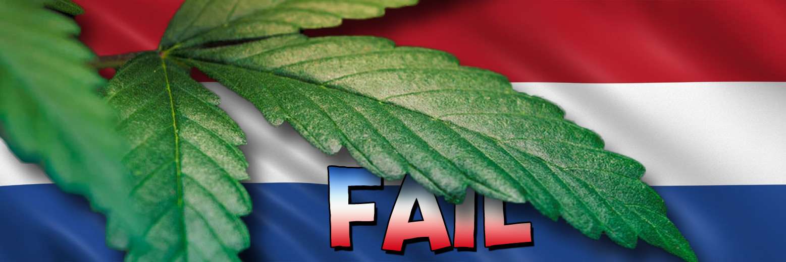 Holendrzy nie zdają egzaminu w pierwszym krajowym przetargu na uprawę marihuany do celów rekreacyjnych